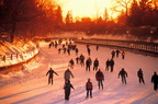 skaters 0