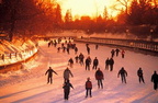 skaters 1