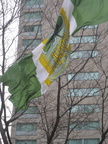 Flag Raising 2016 018