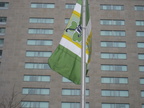 Flag Raising 2016 025