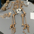 Lab testing of remains