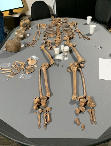 Lab testing of remains